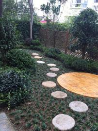 打造理想庭院 上海園林景觀施工與改造的專業(yè)實踐